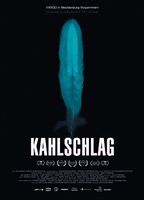 Kahlschlag