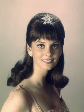 Lesley Ann Warren