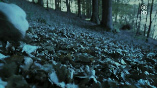 Nina Hoss nuda, scena erotica da Das Herz Ist Ein Dunkler Wald (2007)