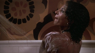 Nackte Promis » Pam Grier nackt – Friday Foster (1975)