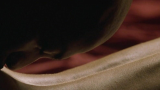 Jolene Blalock nude, sex scene from Slow Burn (2005)