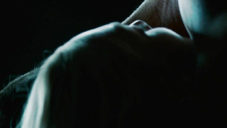 Amanda Seyfried nude, sex scene from Dear John (2010)