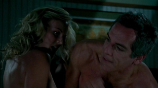 Malin Akerman nuda, scena di sesso da Lo spaccacuori (2007)