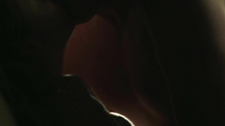 Melissa George nude, sex scene from Hunted s01 (2012)