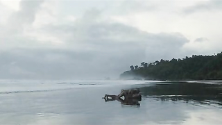 Adriana Ugarte nackt, Sexszene aus Palmeras en la nieve (2015)