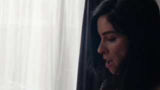 Sarah Silverman nackt, Sexszene aus I Smile Back (2015)