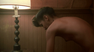 Gretchen Palmer nude, scene from Red Heat (1988)